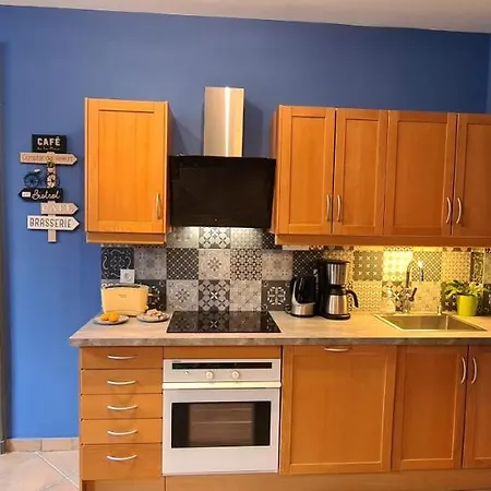 Bluemoon-appartement En Plein Centre De D'annecy *