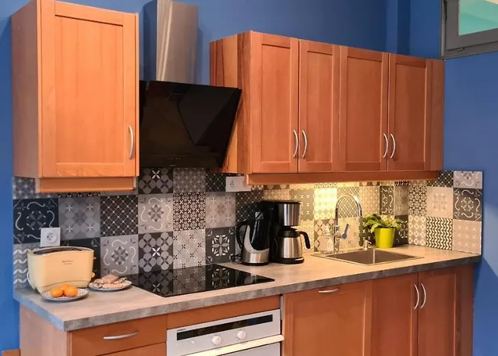Bluemoon-appartement En Plein Centre De D'annecy Apartmán